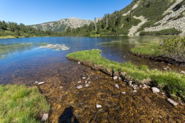 Balık Vasilashko Gölü, Pirin Dağı ile muhteşem manzara