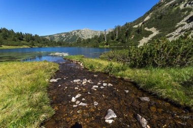 Balık Vasilashko Gölü, Pirin Dağı ile muhteşem manzara