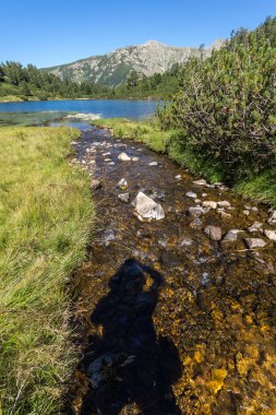 Balık Vasilashko Gölü, Pirin Dağı ile muhteşem manzara