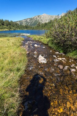 Balık Vasilashko Gölü, Pirin Dağı ile muhteşem manzara