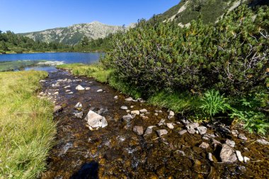 Balık Vasilashko Gölü, Pirin Dağı ile muhteşem manzara