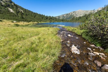 Balık Vasilashko Gölü, Pirin Dağı ile muhteşem manzara