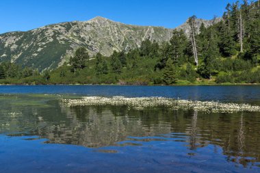 Balık Vasilashko Gölü, Pirin Dağı ile muhteşem manzara