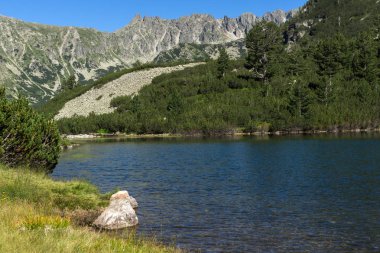 Balık Vasilashko Gölü, Pirin Dağı ile muhteşem manzara