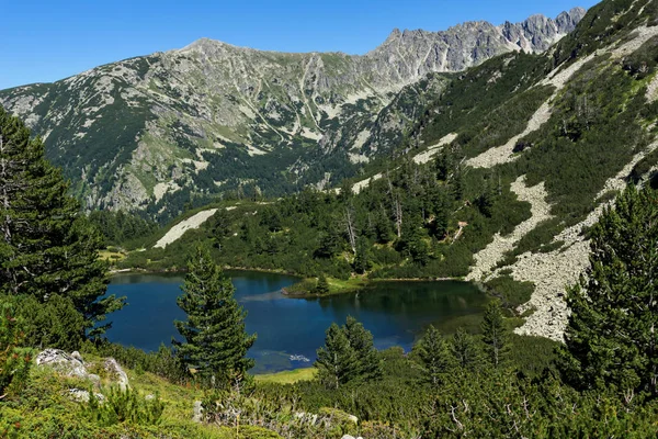 Balık Vasilashko Gölü, Pirin Dağı ile muhteşem manzara