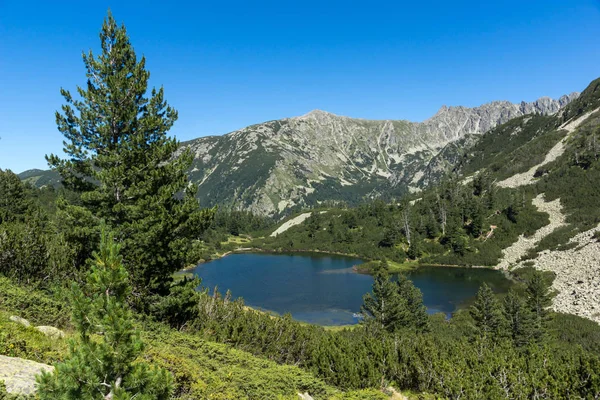 Balık Vasilashko Gölü, Pirin Dağı ile muhteşem manzara