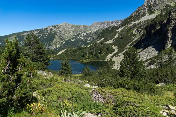 Balık Vasilashko Gölü, Pirin Dağı ile muhteşem manzara