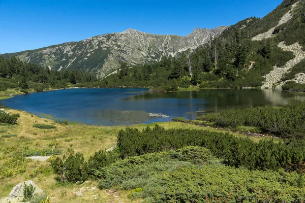 Increíble paisaje con peces lago Vasilashko, Montaña Pirin — Foto de Stock