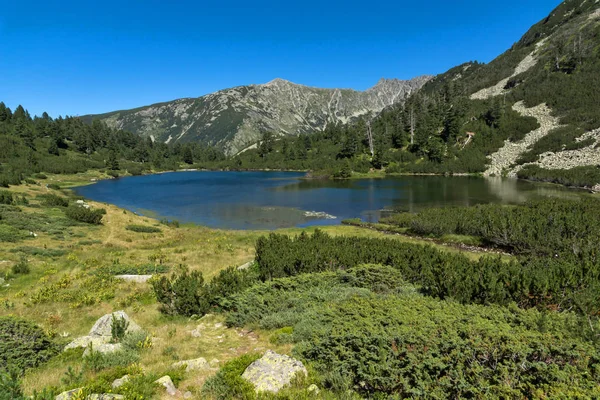 Balık Vasilashko Gölü, Pirin Dağı ile muhteşem manzara