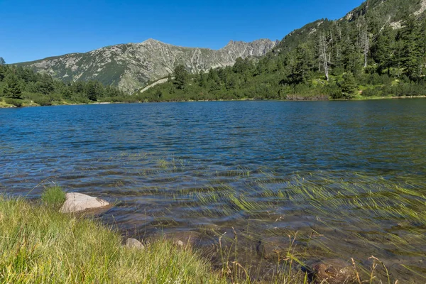 Úžasná krajina s rybí Vasilashko jezera, pohoří Pirin — Stock fotografie