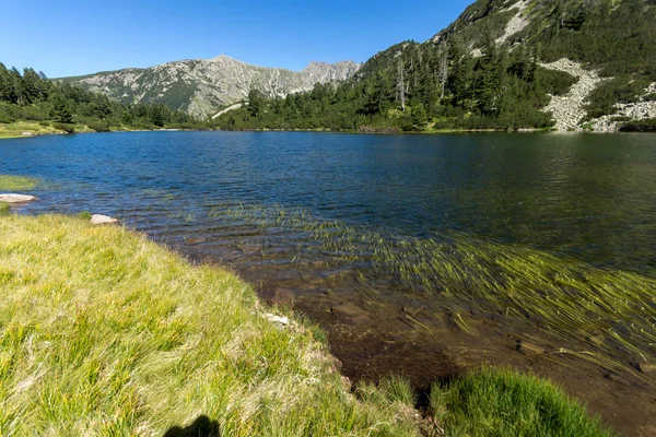 Erstaunliche Landschaft mit Fisch Wassilaschko See, Pirin Berg — Stockfoto