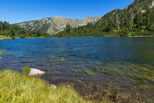 Balık Vasilashko Gölü, Pirin Dağı ile muhteşem manzara