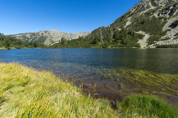Balık Vasilashko Gölü, Pirin Dağı ile muhteşem manzara