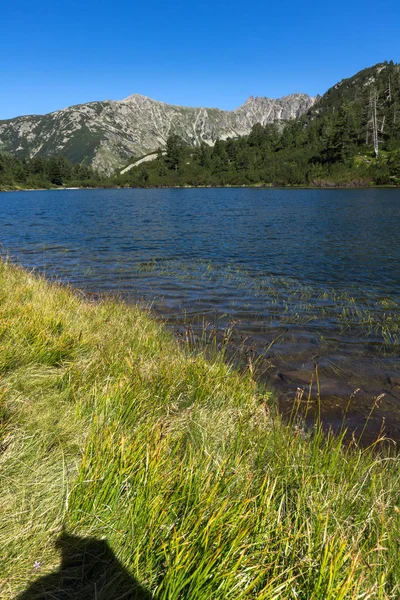 Balık Vasilashko Gölü, Pirin Dağı ile muhteşem manzara