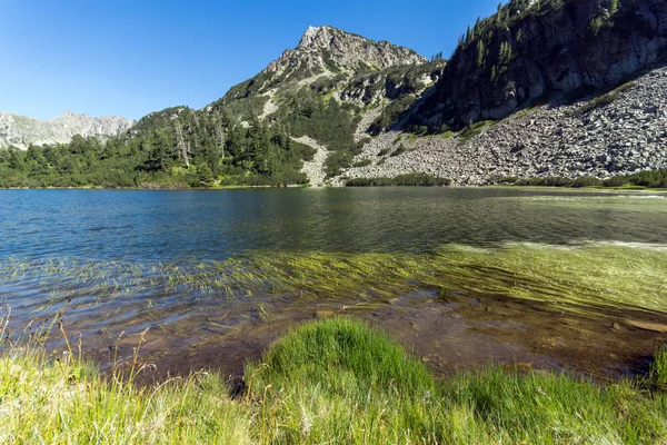 Balık Vasilashko Gölü, Pirin Dağı ile muhteşem manzara