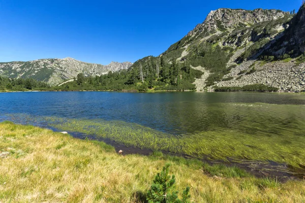 Paisagem incrível com peixes lago Vasilashko, Pirin Mountain — Fotografia de Stock