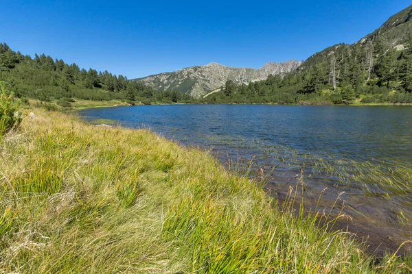 Balık Vasilashko Gölü, Pirin Dağı ile muhteşem manzara