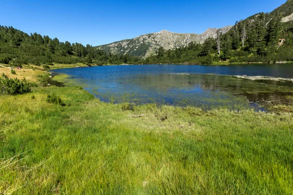 Balık Vasilashko Gölü, Pirin Dağı ile muhteşem manzara