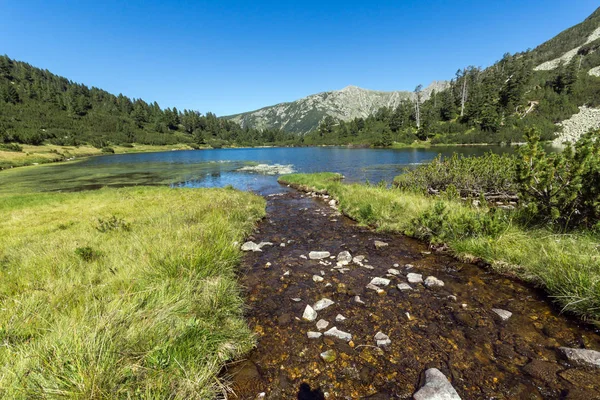 Paesaggio incredibile con pesce Vasilashko lago, Pirin Mountain — Foto Stock