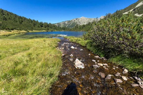 Paysage étonnant avec poisson lac Vasilashko, Pirin Mountain — Photo