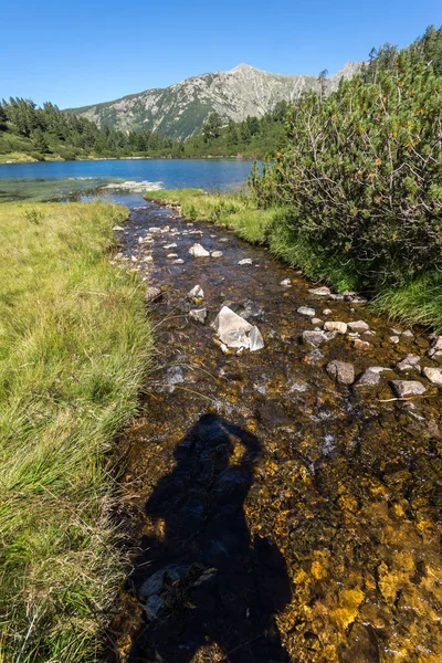 Balık Vasilashko Gölü, Pirin Dağı ile muhteşem manzara