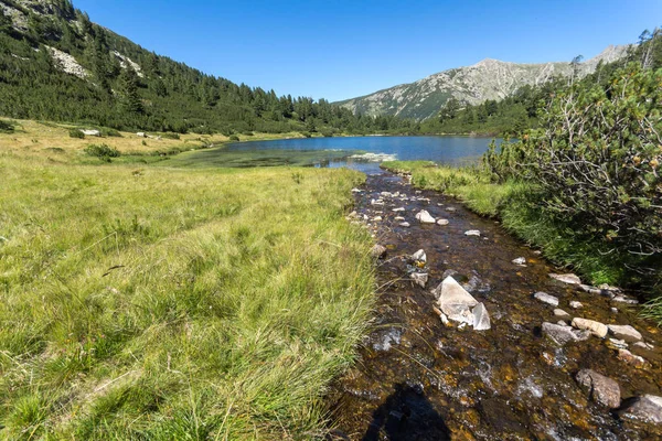 Balık Vasilashko Gölü, Pirin Dağı ile muhteşem manzara