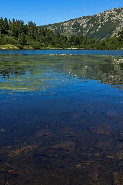 Increíble paisaje con peces lago Vasilashko, Montaña Pirin —  Fotos de Stock