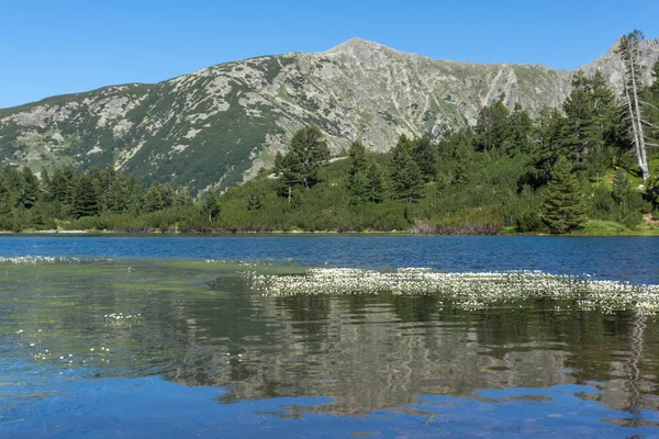 Amazing Landscape dengan danau Fish Vasilashko, Pirin Mountain — Stok Foto