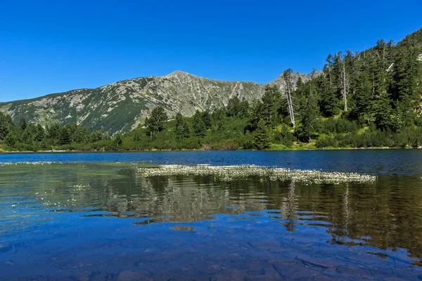 Удивительный ландшафт с озером Фалько, гора Пирин — стоковое фото