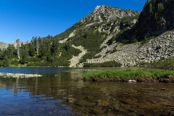 Balık Vasilashko Gölü, Pirin Dağı ile muhteşem manzara