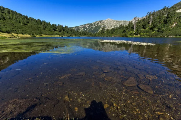 Amazing Landscape dengan danau Fish Vasilashko, Pirin Mountain — Stok Foto