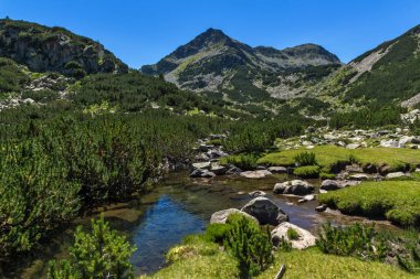 Valyavitsa Nehri ve Valyavishki Kınalı tepe, Pirin Dağı ile muhteşem manzara