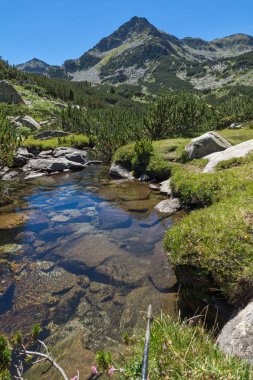 Valyavitsa Nehri ve Valyavishki Kınalı tepe, Pirin Dağı ile muhteşem manzara