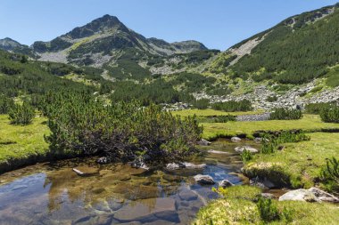 Valyavitsa Nehri ve Valyavishki Kınalı tepe, Pirin Dağı ile muhteşem manzara