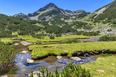 Valyavitsa Nehri ve Valyavishki Kınalı tepe, Pirin Dağı ile muhteşem manzara