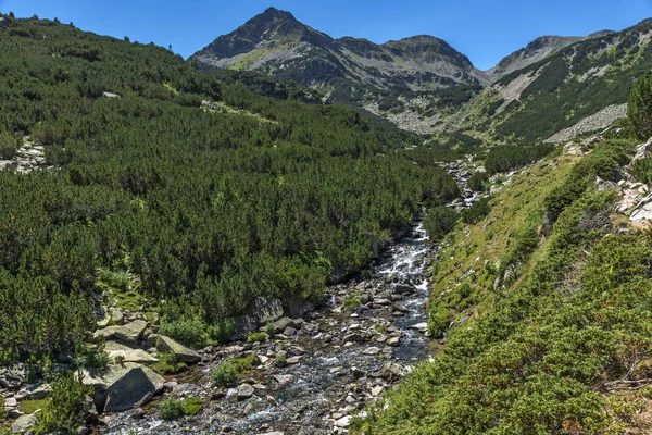 Amazing landscape with Valyavitsa river, Pirin Mountain — Stock Photo, Image