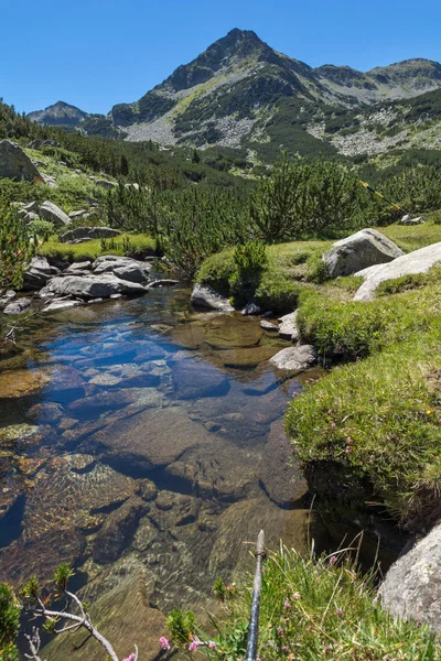 Valyavitsa Nehri ve Valyavishki Kınalı tepe, Pirin Dağı ile muhteşem manzara
