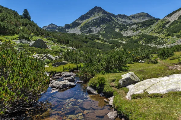 Bentang alam yang menakjubkan dengan sungai Valyavitsa dan puncak Valyavishki chukar, Pirin Mountain , — Stok Foto