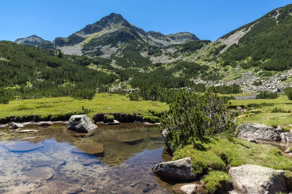 Paysage incroyable avec la rivière Valyavitsa et le sommet du chukar Valyavishki, montagne Pirin — Photo