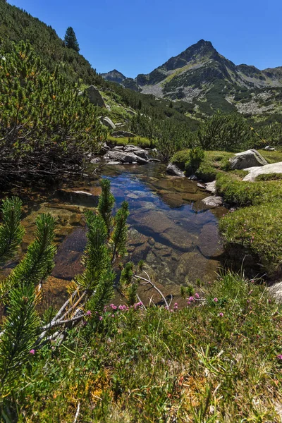 Valyavitsa Nehri ve Valyavishki Kınalı tepe, Pirin Dağı ile muhteşem manzara