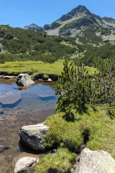 Valyavitsa Nehri ve Valyavishki Kınalı tepe, Pirin Dağı ile muhteşem manzara