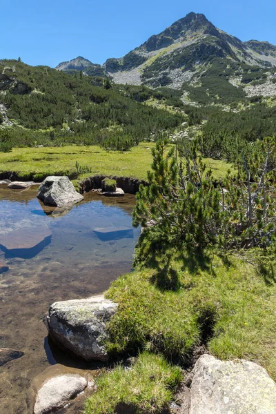 Erstaunliche Landschaft mit Valjavitsa Fluss und valyavishki chukar Gipfel, Pirin Berg — Stockfoto
