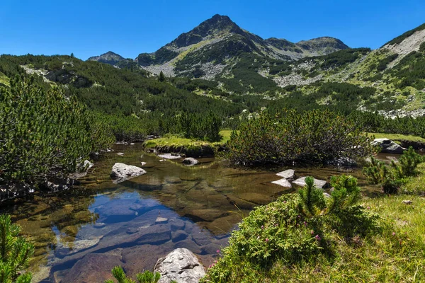 Nádhernou krajinu s řekou Valyavitsa a Valyavishki chukar peak, pohoří Pirin — Stock fotografie