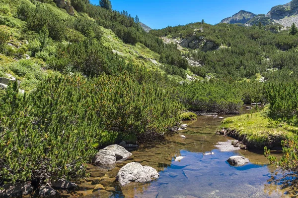 Valyavitsa Nehri, Pirin Dağı ile muhteşem manzara