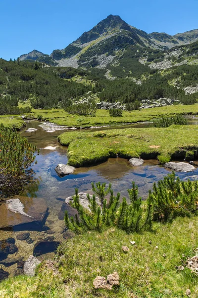 Bentang alam yang menakjubkan dengan sungai Valyavitsa dan puncak Valyavishki chukar, Pirin Mountain — Stok Foto