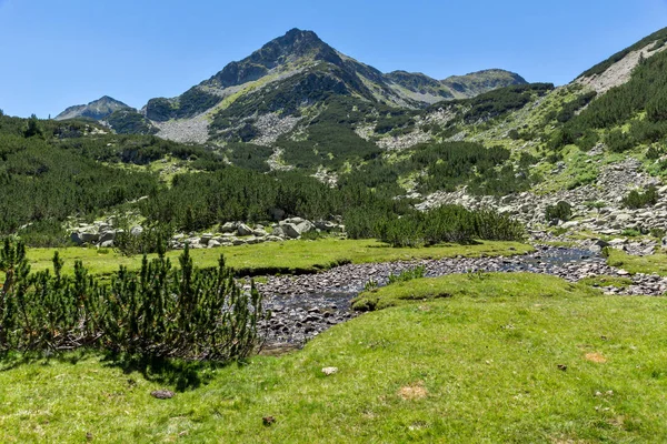 Valyavitsa Nehri ve Valyavishki Kınalı tepe, Pirin Dağı ile muhteşem manzara