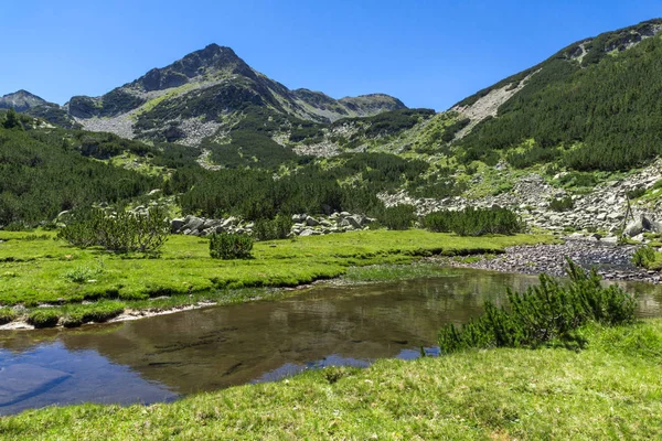 Bentang alam yang menakjubkan dengan sungai Valyavitsa dan puncak Valyavishki chukar, Pirin Mountain — Stok Foto