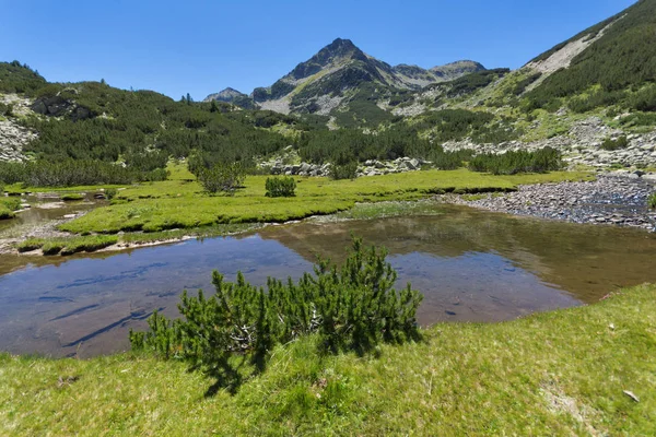 Paysage incroyable avec la rivière Valyavitsa et le sommet du chukar Valyavishki, montagne Pirin — Photo