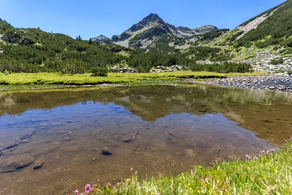 Valyavitsa Nehri ve Valyavishki Kınalı tepe, Pirin Dağı ile muhteşem manzara