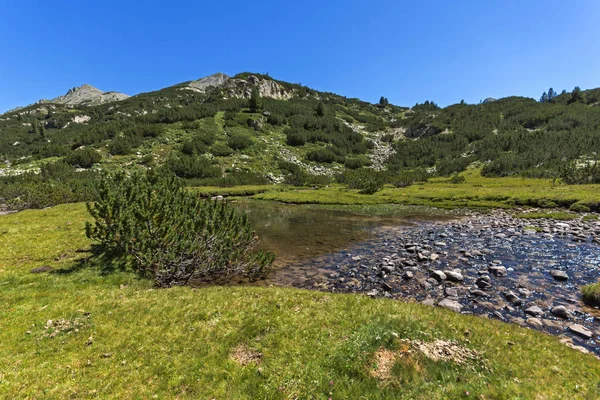 Paysage étonnant avec rivière Valyavitsa, montagne Pirin — Photo
